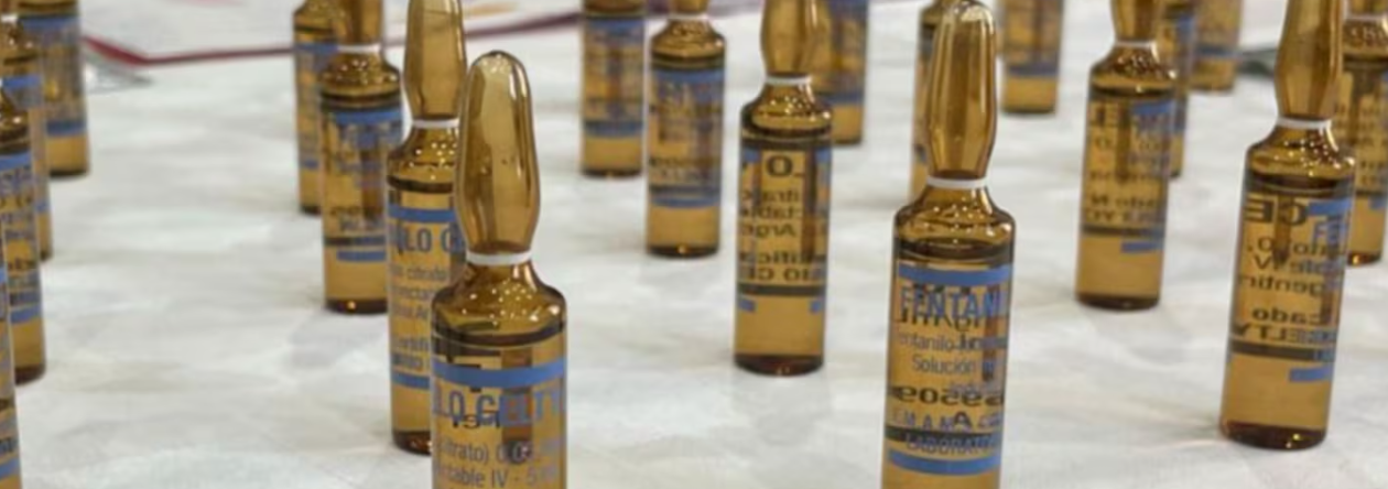 La OMS lanza una alerta internacional por el fentanilo contaminado en Argentina