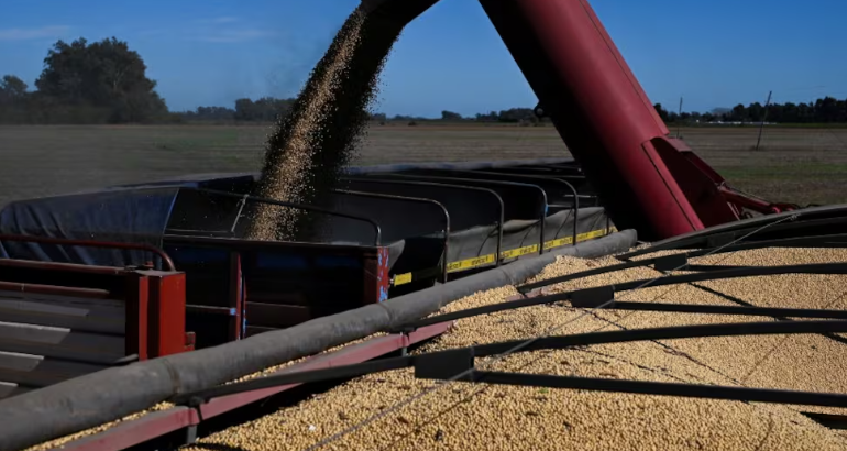  El Gobierno oficializó la baja de retenciones al agro