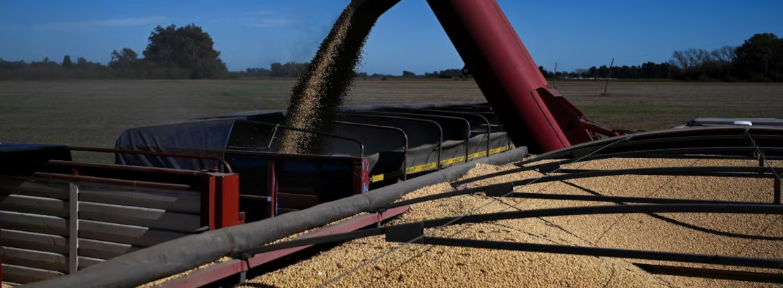 El Gobierno oficializó la baja de retenciones al agro